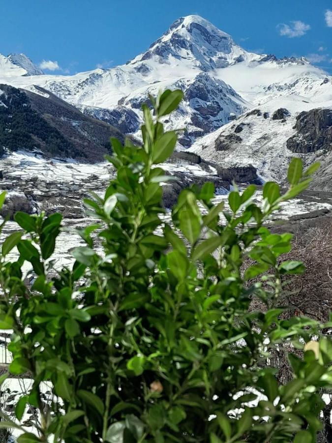 Emotion Kazbegi Leilighet Eksteriør bilde
